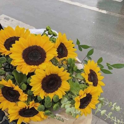 2023年新澳门今晚开特马app下载