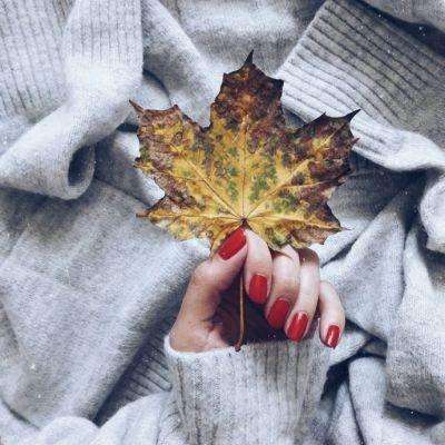 火狐体育APP体育app下载