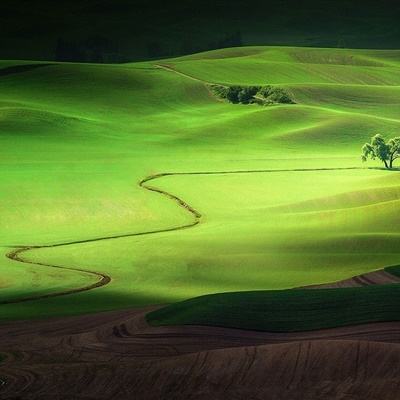 天博体育官网入口app下载