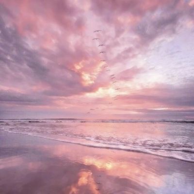 必一体育官网平台