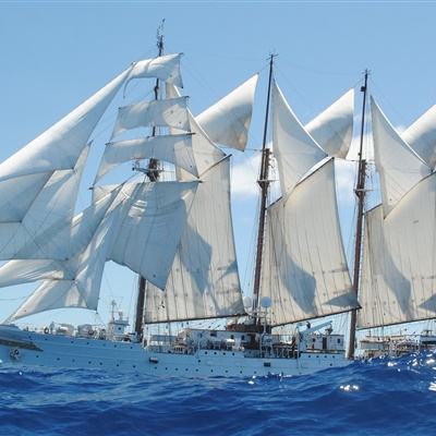 NG体育APP官方下载网址app下载