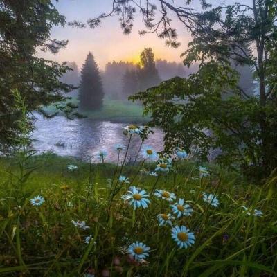 足球赌注软件app下载