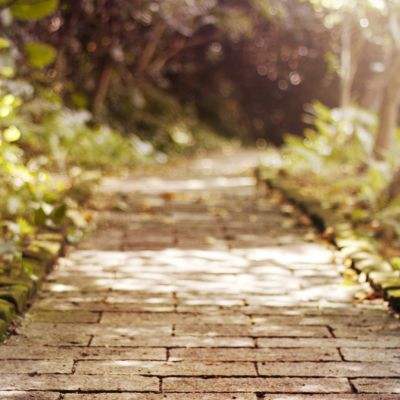 乐鱼娱乐appapp下载